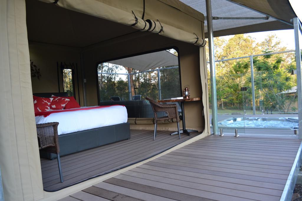 Luxury tent Tuckers Retreat Canungra