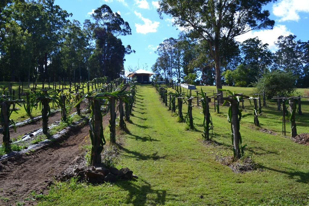 Tuckers Retreat 5* Canungra